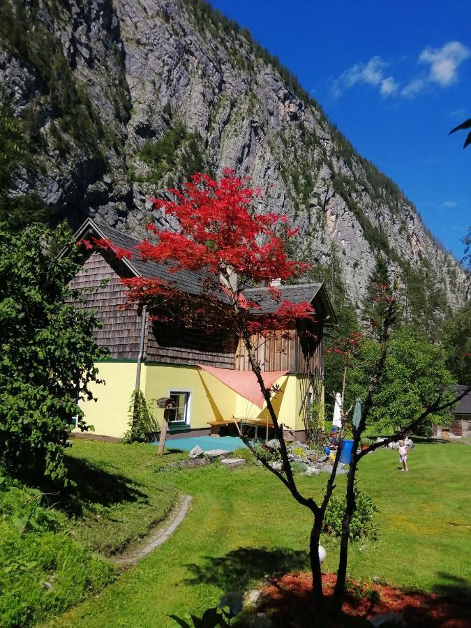 Haus Waldbach Villa Hallstatt Eksteriør bilde