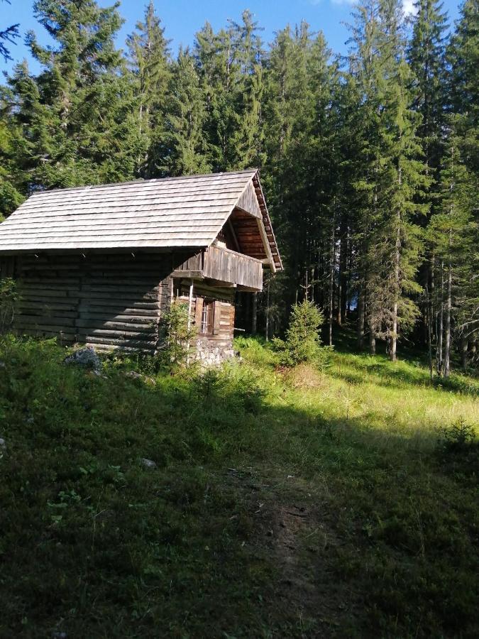 Haus Waldbach Villa Hallstatt Eksteriør bilde