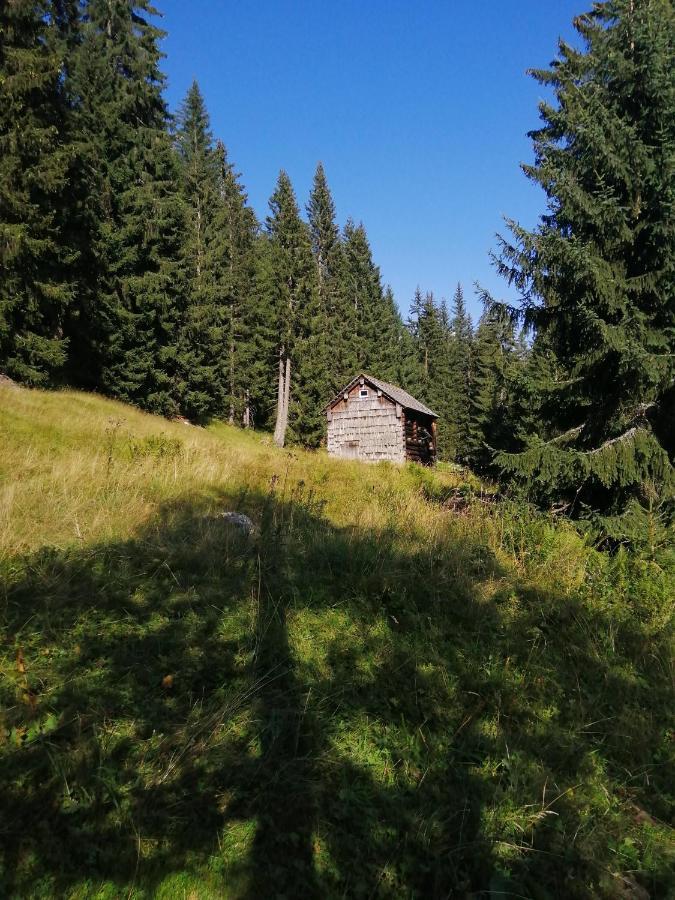 Haus Waldbach Villa Hallstatt Eksteriør bilde