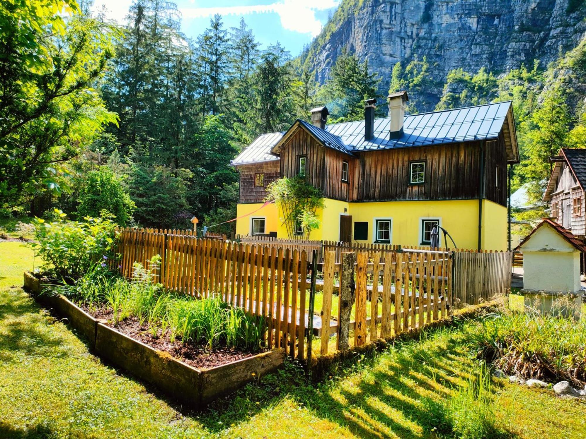 Haus Waldbach Villa Hallstatt Eksteriør bilde