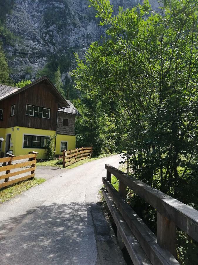 Haus Waldbach Villa Hallstatt Eksteriør bilde